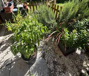 3 Zi.-Wohn(t)raum! Charmante 3-Zimmer-EG.-Whg. mit Südterrasse und Tiefgaragenstellplatz in Erfurt-Frienstedt – 99092 Erfurt – Vorschaubild 8