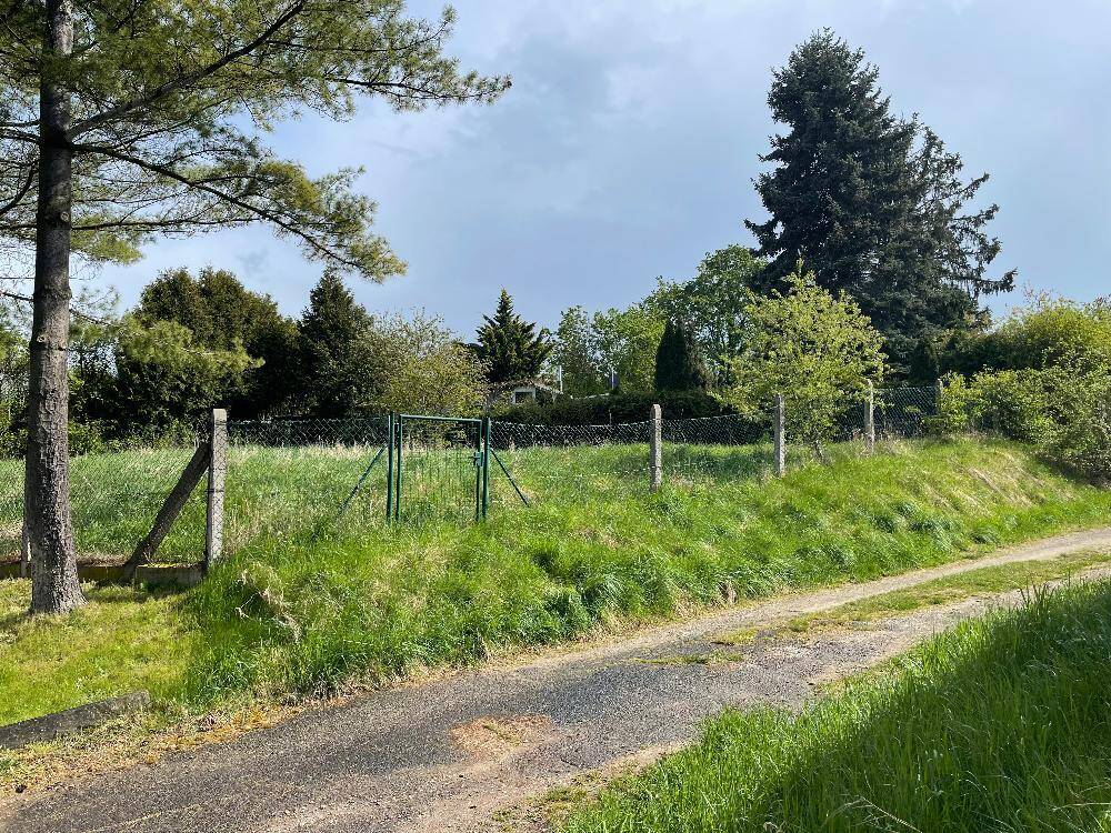 Strahlend und lauschig - ein Traumhaus für die Familie in Waltersleben – Erfurt – Vorschaubild 6