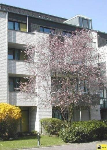 Kapitalanlage im Herzen von Tannenbusch! – Bonn – Vorschaubild 2