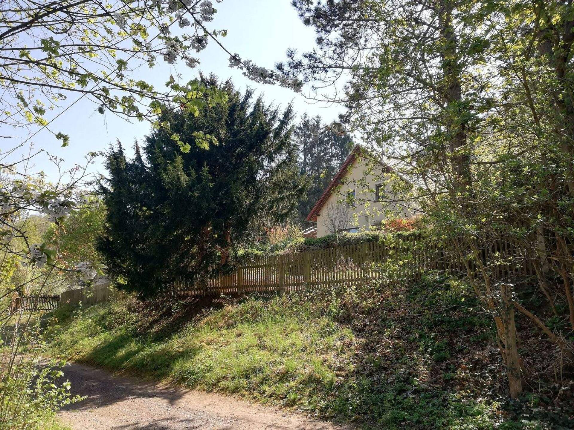 Haus in 99706 Sondershausen mit 139,5 m² kaufen