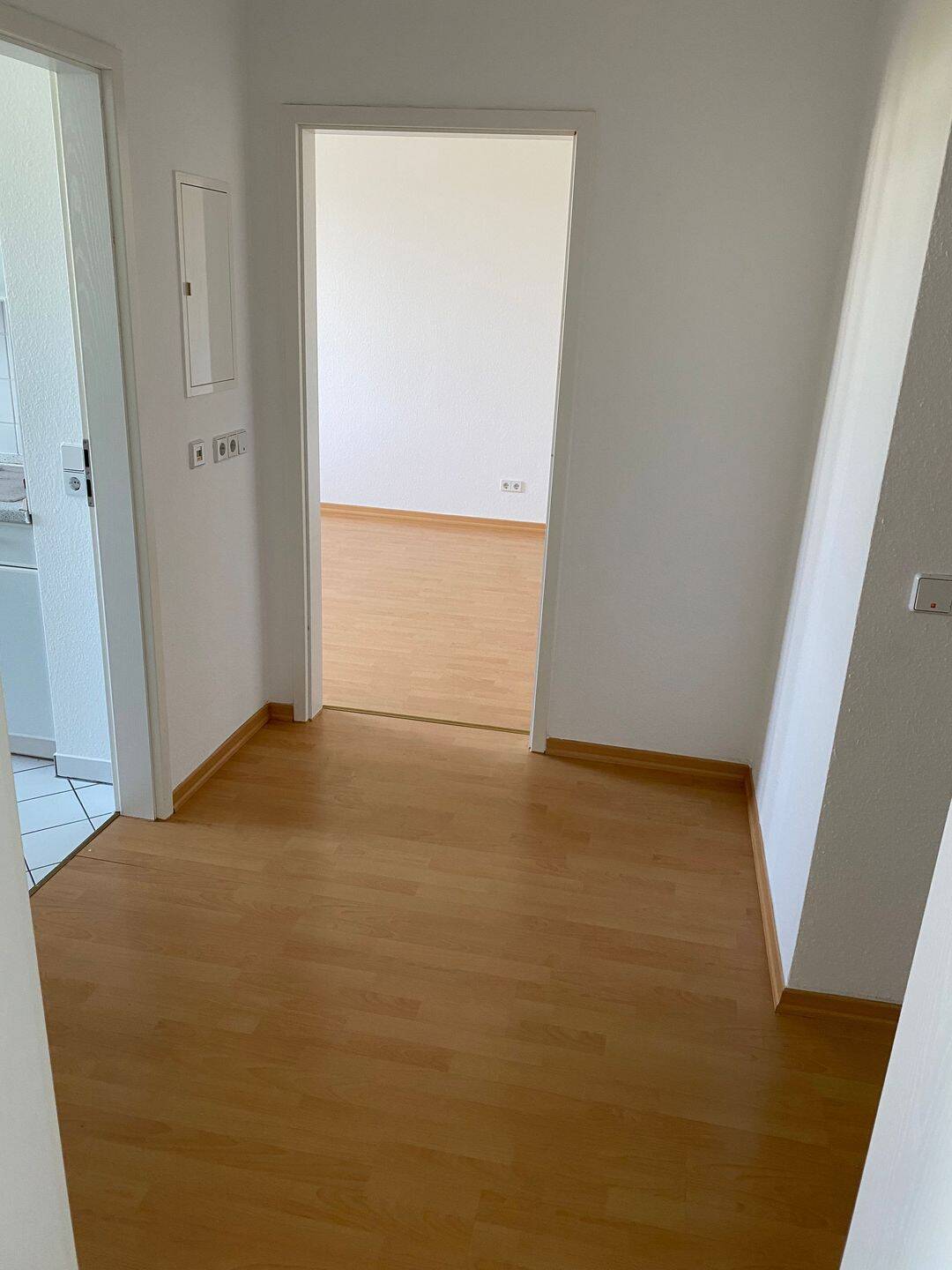 Sonnige Zweiraumwohnung im grünen Schloßchemnitz – Tannenstraße 17, 9113 Chemnitz – Vorschaubild 3