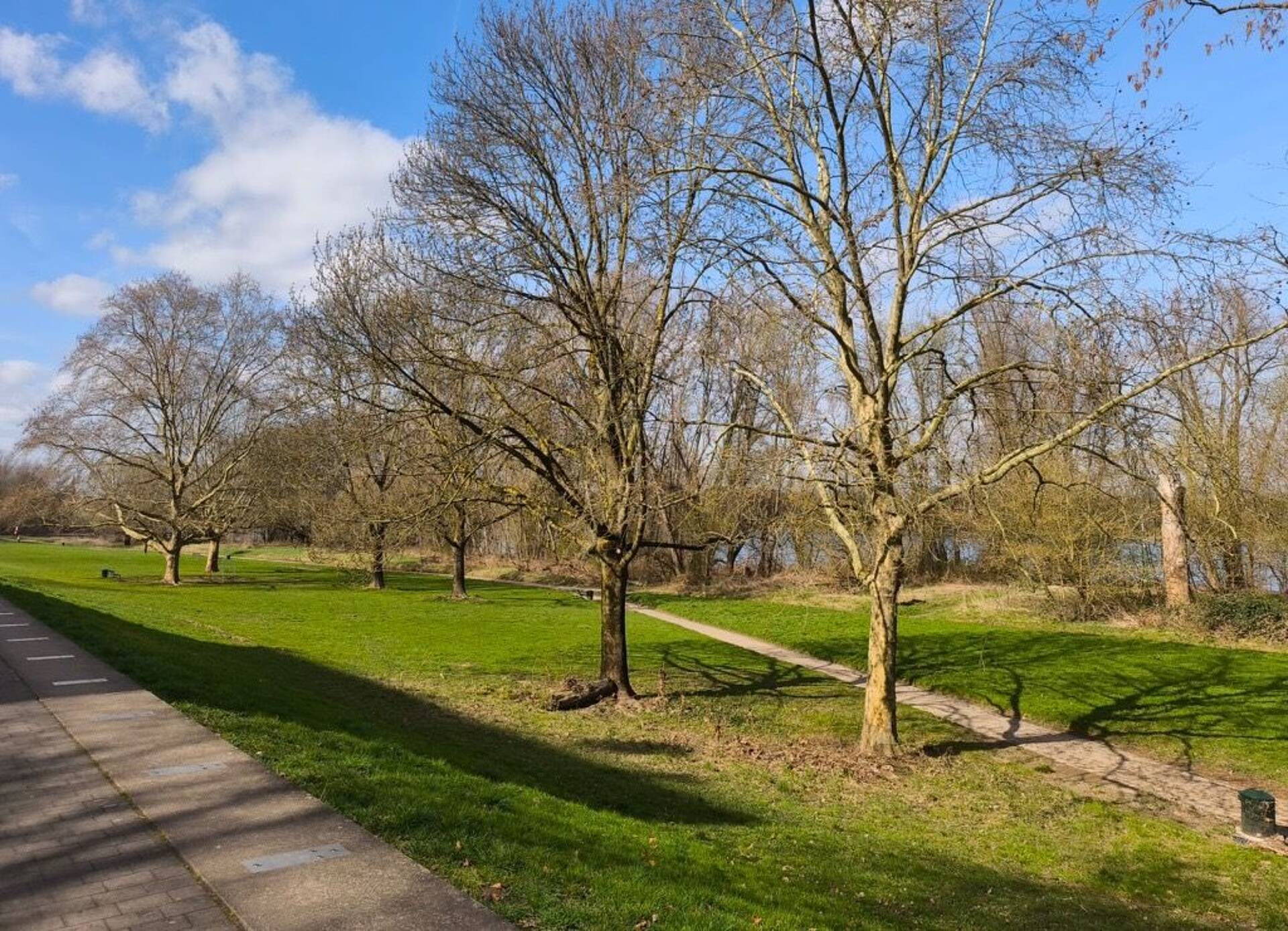 Etagenwohnung in 50996 Köln mit 38,08 m² kaufen