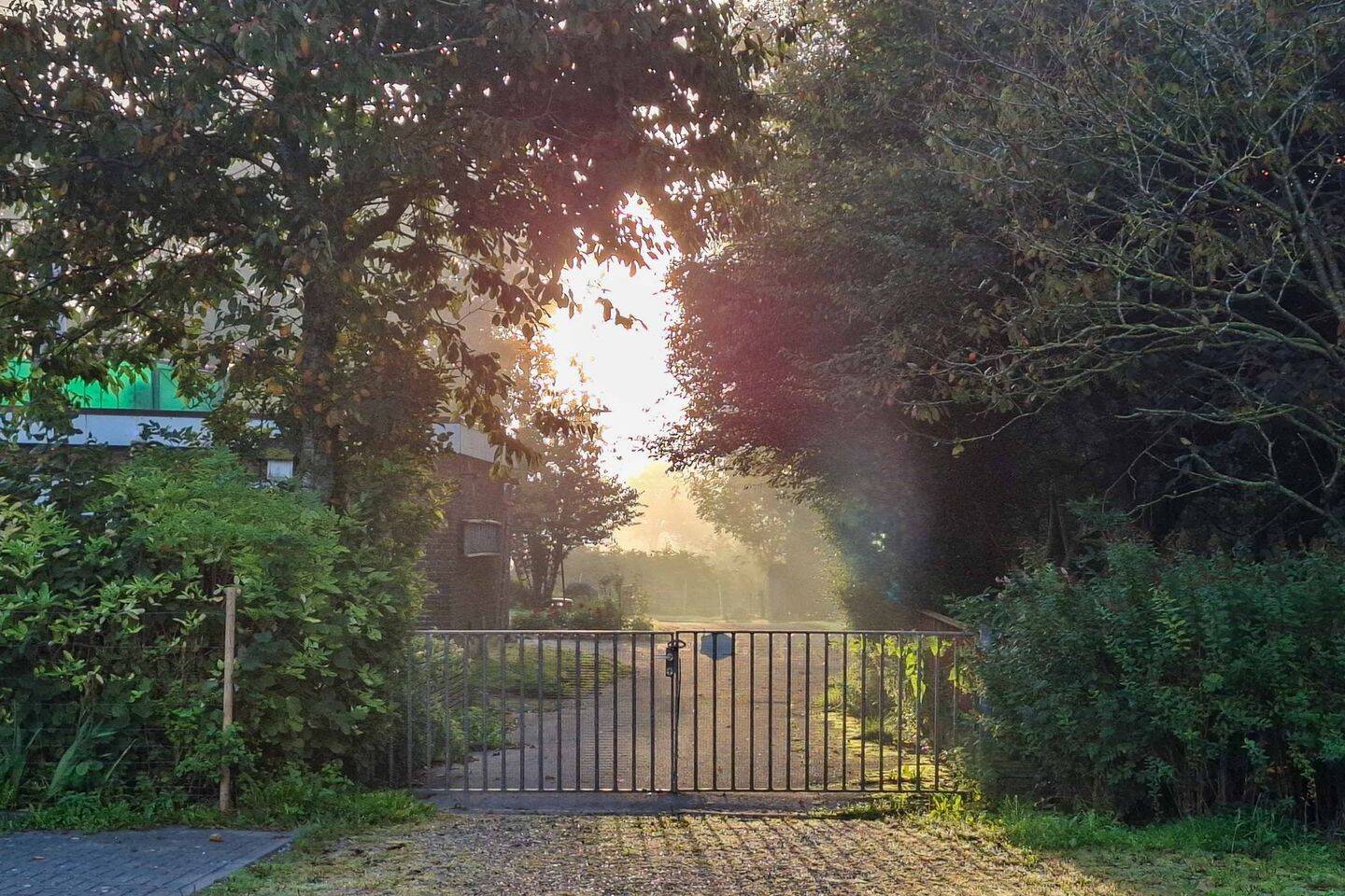 Viel Platz für Tiere, Mitmenschen, Herzensprojekte - raus in die Natur! – Neukirchen – Vorschaubild 4