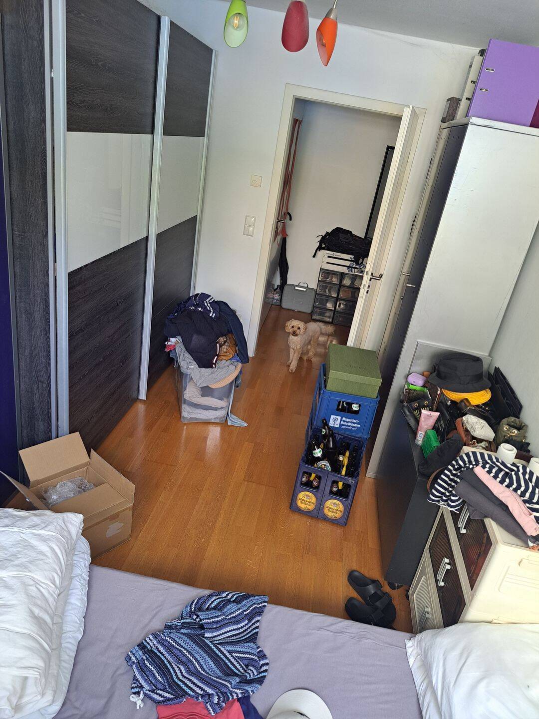 Helle Terrassenwohnung in Ludwig-Vorstadt – München – Vorschaubild 5