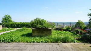 Exklusives Investment in herrschaftlichem Anwesen! – 1156 Dresden – Vorschaubild 7