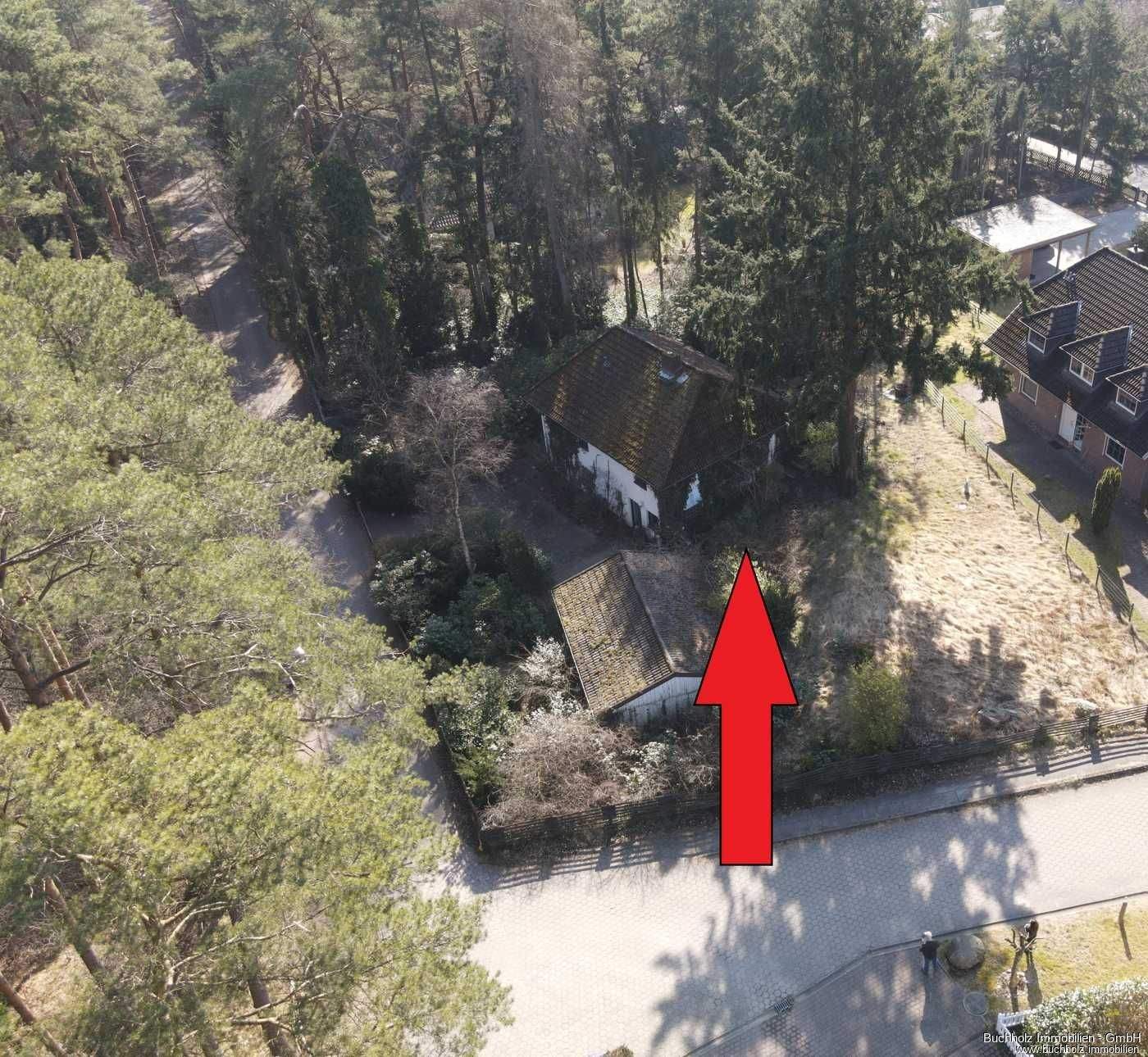 Bendestorf, Waldrand - wunderschön gelegenes Grundstück mit Altsubstanz – Bendestorf – Bild 1 von 8