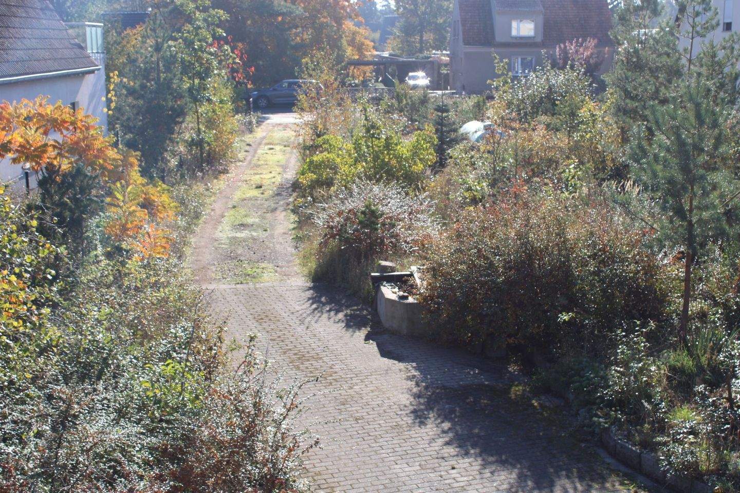 Ruhig gelegenes hübsches Haus auf großzügigem Grundstück, naturnah und am großen Zeischaer See – Bad Liebenwerda – Vorschaubild 7