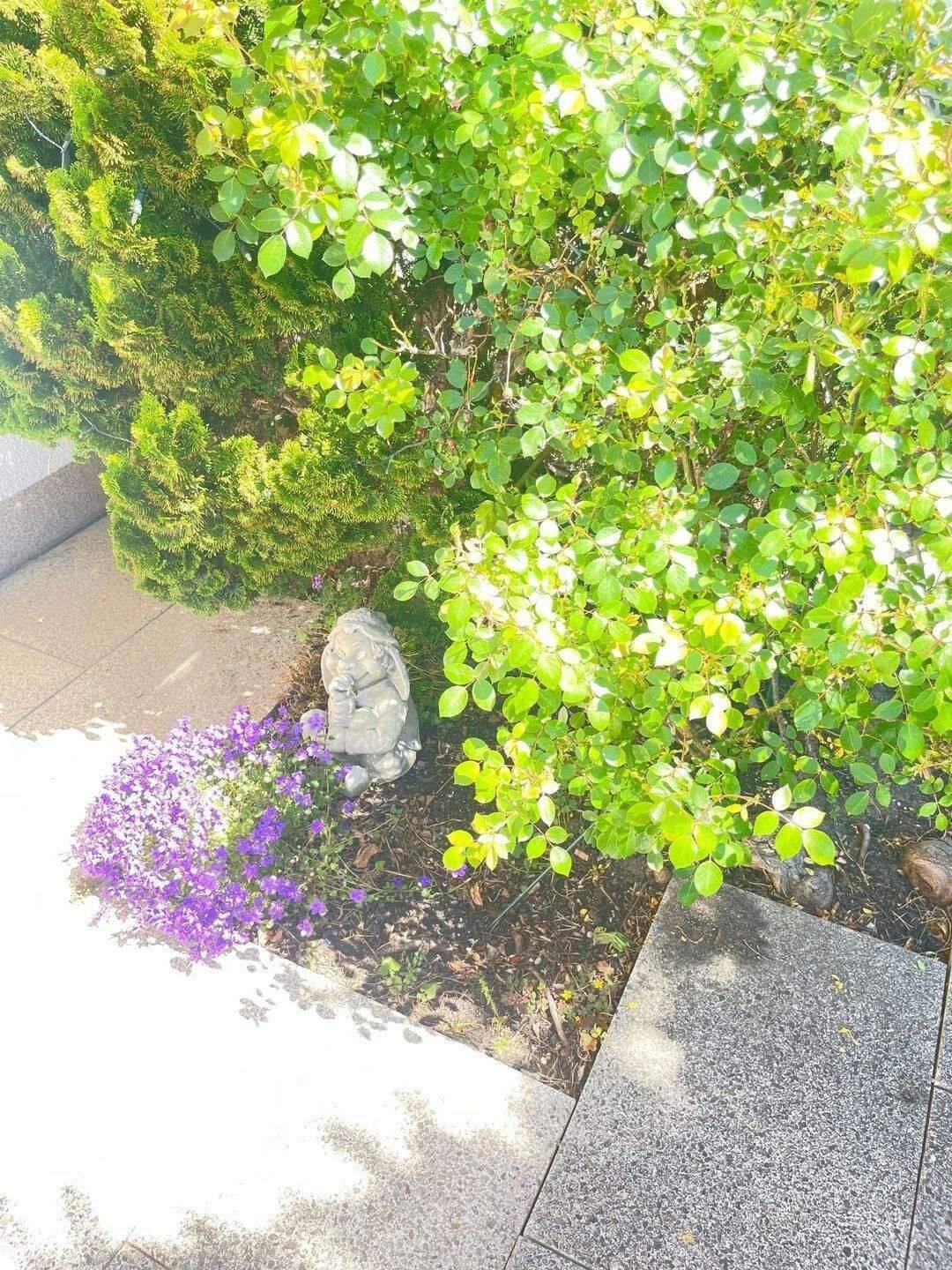 Genießen Sie den Sommer in Ihrem neuen großen Garten in Mögeldorf SOFORT FREI – Nürnberg – Vorschaubild 4