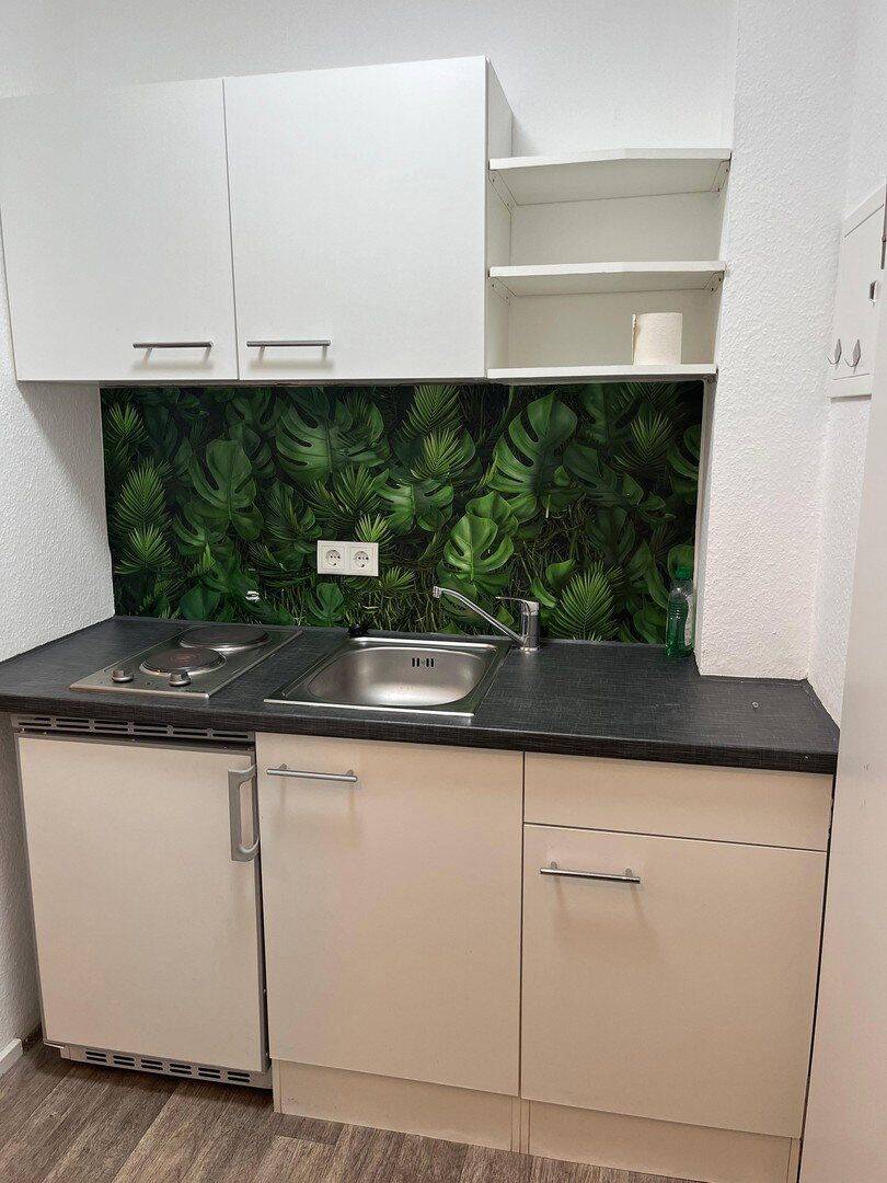?? Frisch renoviertes Balkon-Apartment | Möbliert | Nähe BASF, SAP, Hochschule & Innenstadt – Mannheim – Vorschaubild 7
