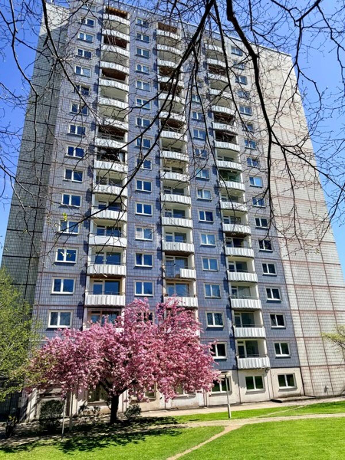 Azubis & Studenten aufgepasst: Die erste eigene Wohnung wartet auf Euch! – 1217 Dresden – Bild 1 von 7