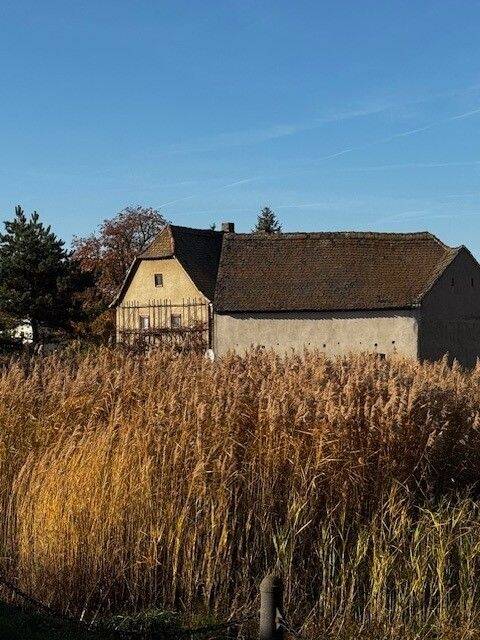 Pomßen - 65.000 € - Einfamilienhaus für Selbermacher! – Parthenstein – Bild 1 von 9