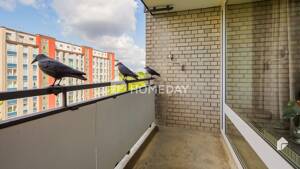 Für Kapitalanleger: Schöne 2-Zimmer-Wohnung in beliebter Lage von Hamburg – 22047 Hamburg – Vorschaubild 8