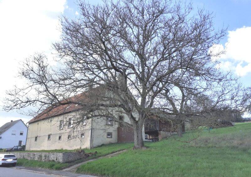Ehemaliges Bauernhaus mit Scheunenhaus, reichlich Ausbaupotenzial mit herrlichem Grundstück (Doppelhaushälfte) in Blieskastel-Brenschelbach – Blieskastel – Bild 1 von 9