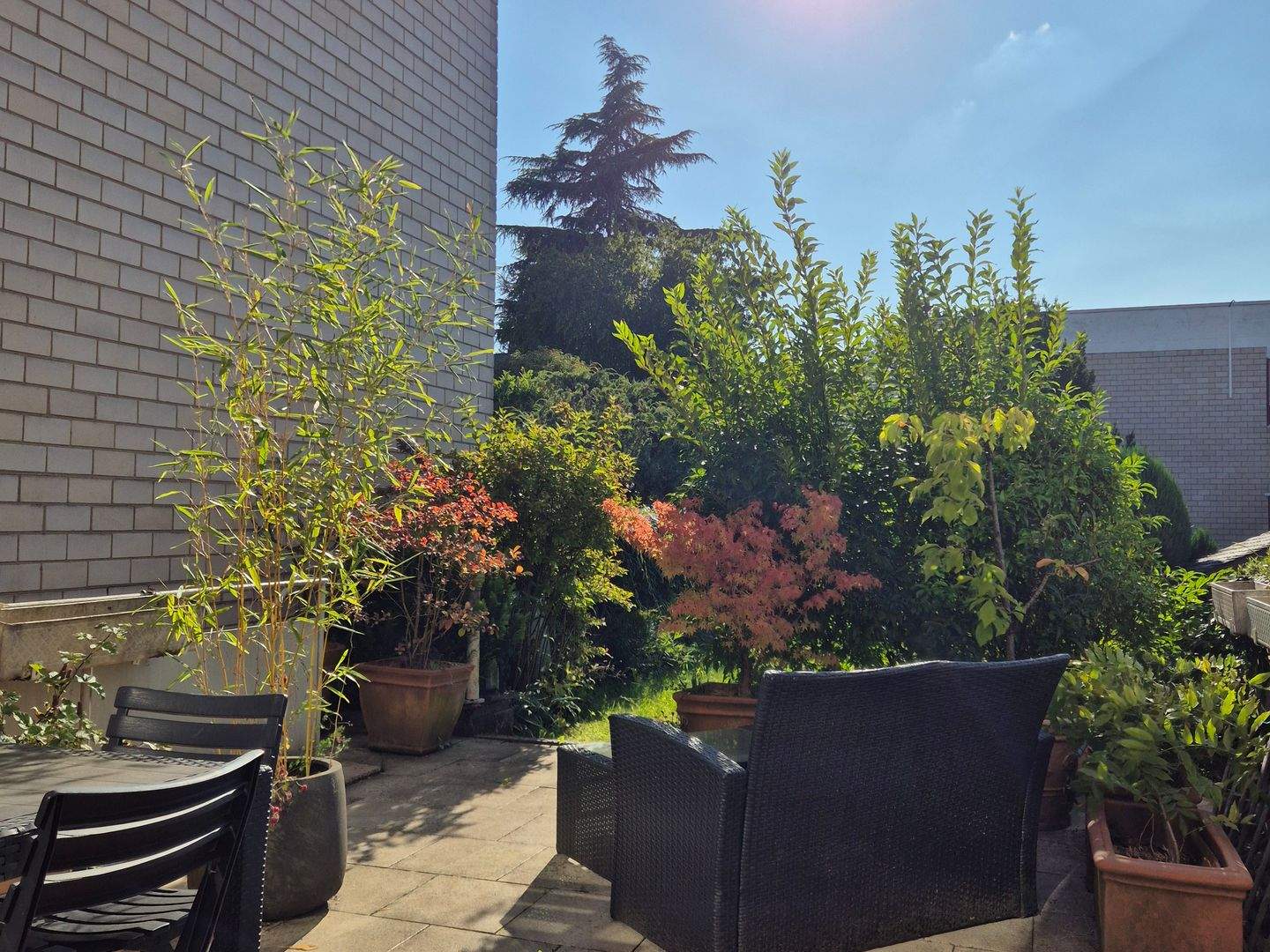 Moderne Architektur I Garten & Terrasse I Ausbaureserve – Trier – Vorschaubild 6