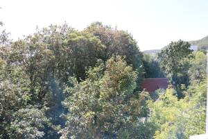 Charmante 3-Zimmer-Wohnung mit Balkon und Blick über Jena – 7743 Jena – Vorschaubild 3