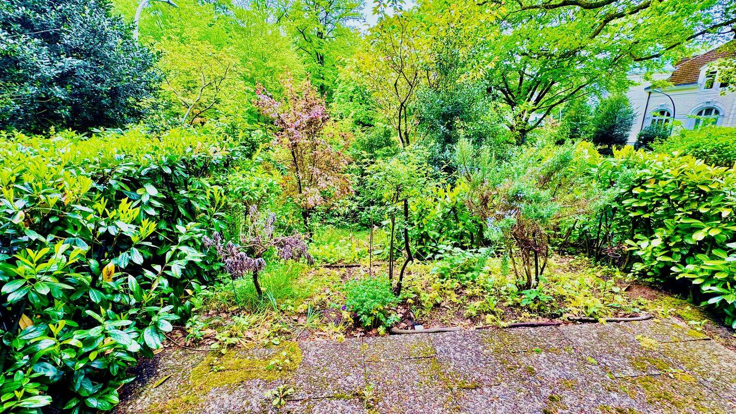 BLANKENESE. Urban wohnen. Naturnah leben. Elbnah zuhause. – Hamburg – Vorschaubild 4