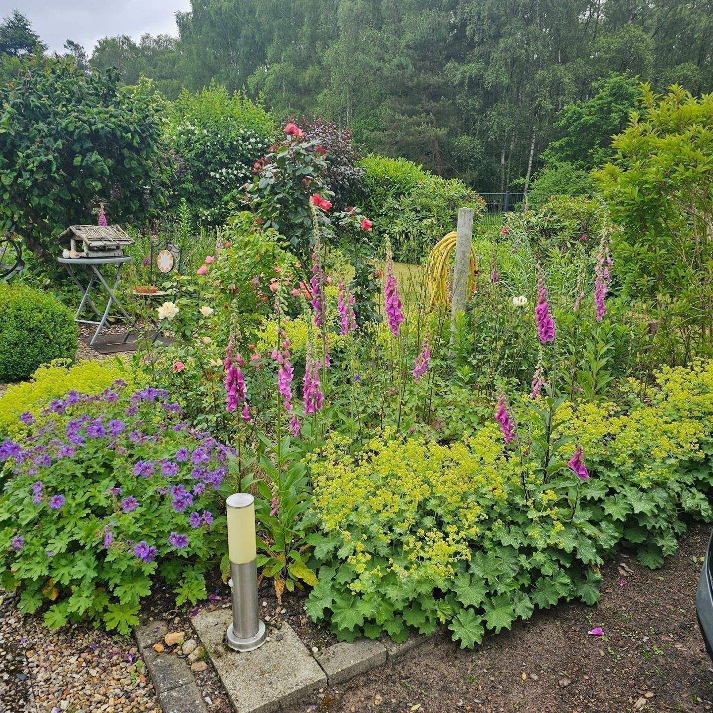 Einziehen & Aufatmen: Moderner Bungalow-Traum mit Solarkraft & Gartenidyll – Zernien – Vorschaubild 8