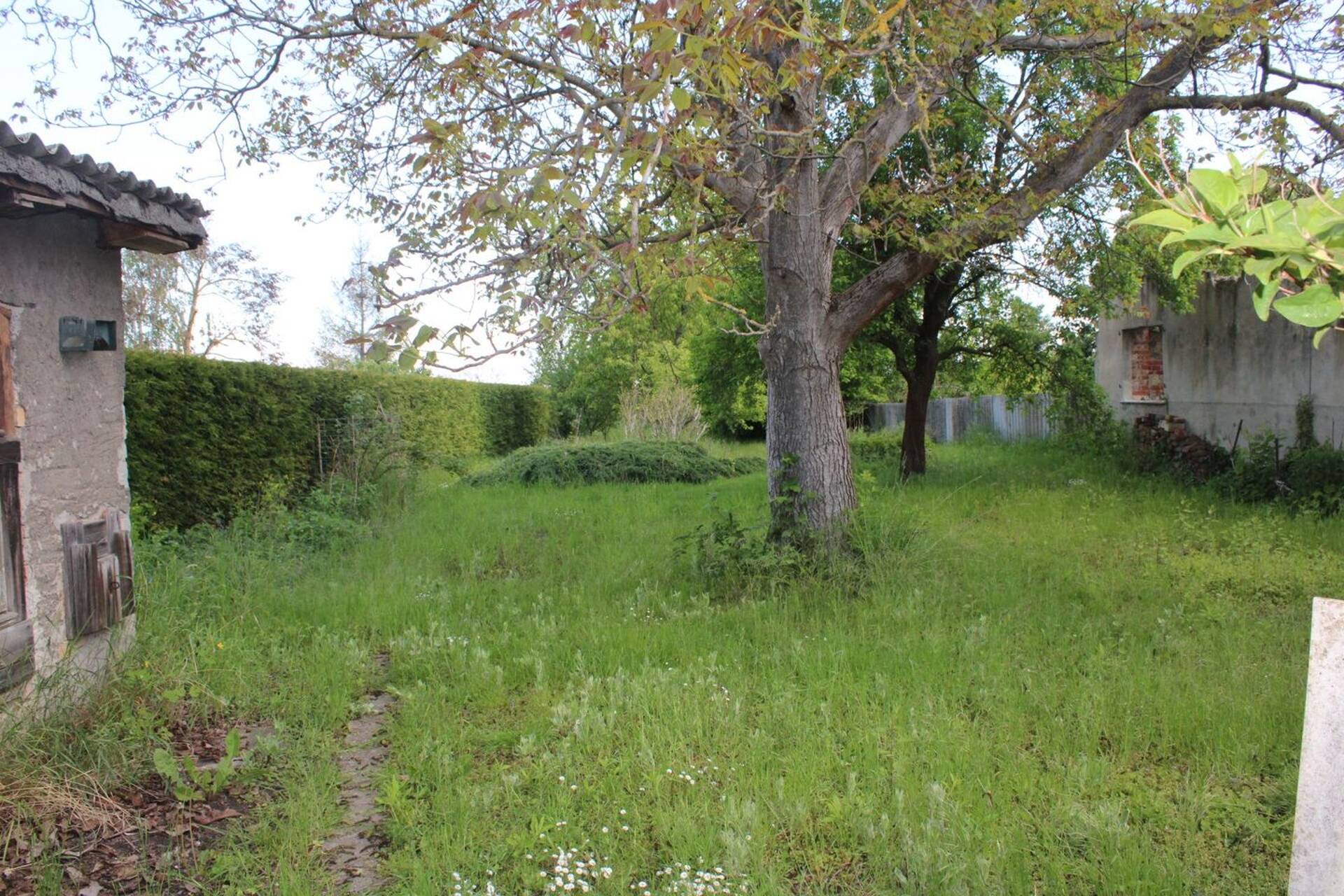 Haus in 04860 Torgau mit 190 m² kaufen