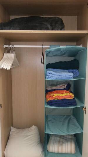 Zentrale, voll möblierte Ein-Zimmer-Wohnung mit Top-Verkehrsanbindung – 50827 Köln – Vorschaubild 8