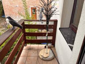 Charmante Doppelhaushälfte mit großer Terrasse, viel Grün und perfekter Familienlage in der Brühlervorstadt – 99094 Erfurt – Vorschaubild 8