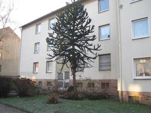 Komplett renovierte 2,5-Zimmer-Wohnung in Nähe City mit Balkon!