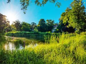 EXKLUSIVES WOHNEN AM WASSER- 400.000,-€ Interior-Haus im Haus- am SEE – 14193 Berlin – Vorschaubild 5
