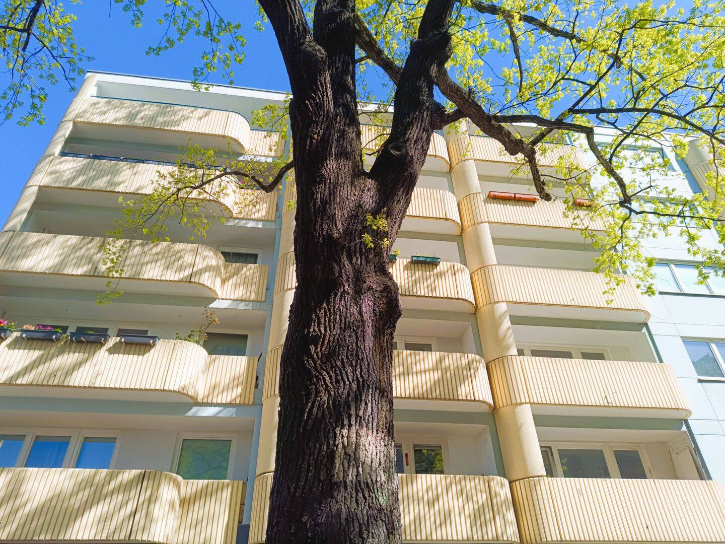 Bezugsfrei mit Balkon und Pkw-Stellplatz -Savignyplatz und Ku´damm im Wielandkiez- – Berlin – Vorschaubild 2
