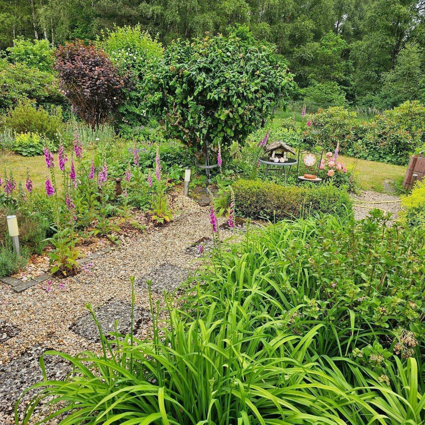 Einziehen & Aufatmen: Moderner Bungalow-Traum mit Solarkraft & Gartenidyll – Zernien – Vorschaubild 6