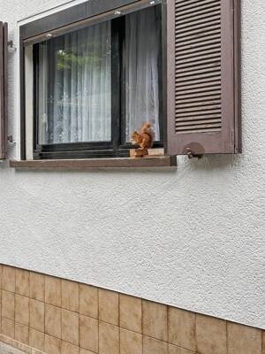 Mannheim: Toll geschnittene 2-Zimmer-Etagenwohnung mit Gartenanteil – 68305 Mannheim – Vorschaubild 2