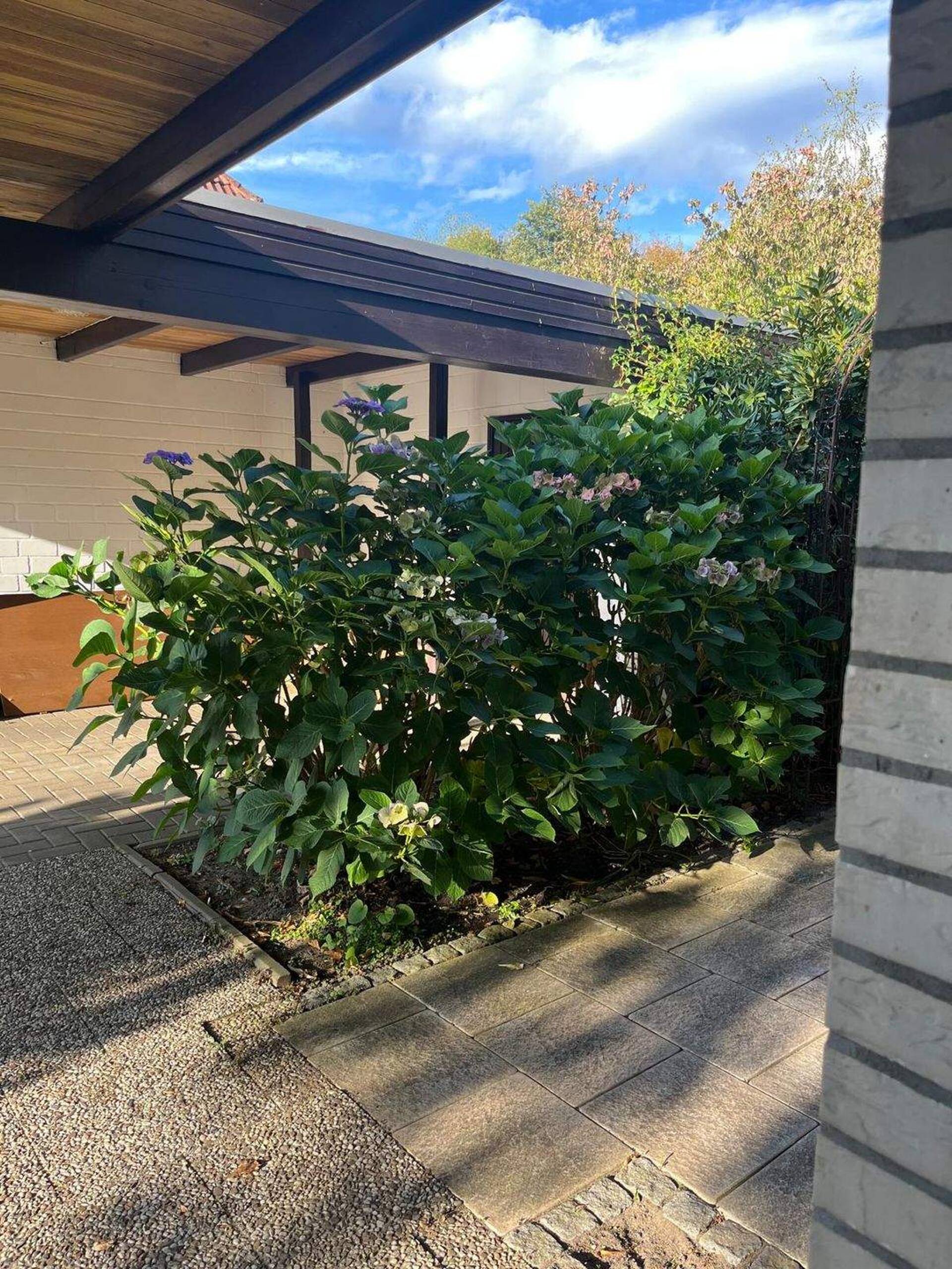 Haus in 27404 Zeven mit 179 m² kaufen