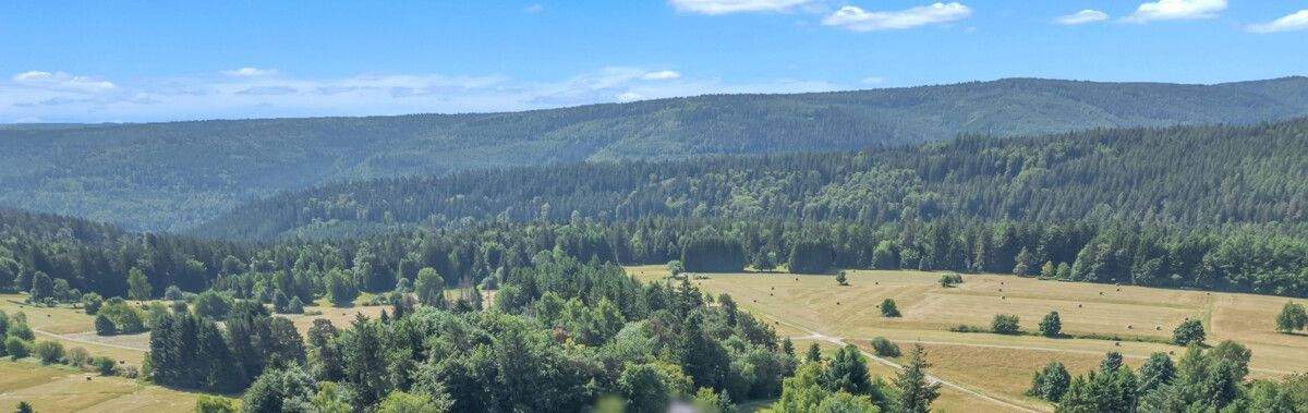 Seltene Gelegenheit: Haus mit grandioser Aussicht am Dobler Südhang – Dobel – Bild 1 von 9