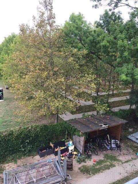 WG geeignet, optimal für 2 Personen! 3 -Zimmer im Dachgeschoss in Buckau mit Dusche, Balkon & Blick auf den Park! ! – Magdeburg – Vorschaubild 2