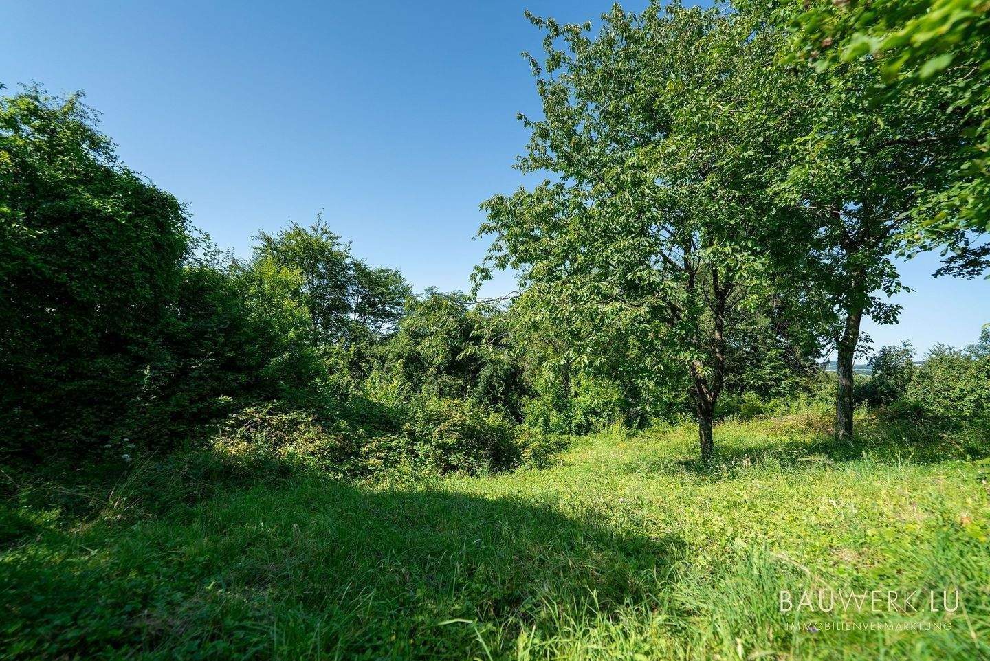Traum Wochenendanwesen – Oberbillig – Vorschaubild 8