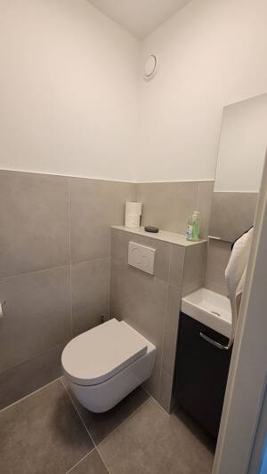 Vollsanierte, neu möblierte 3-Zi-Whg mit Aufzug u. Balkon? rollstuhlgerecht – 60435 Frankfurt am Main – Vorschaubild 8