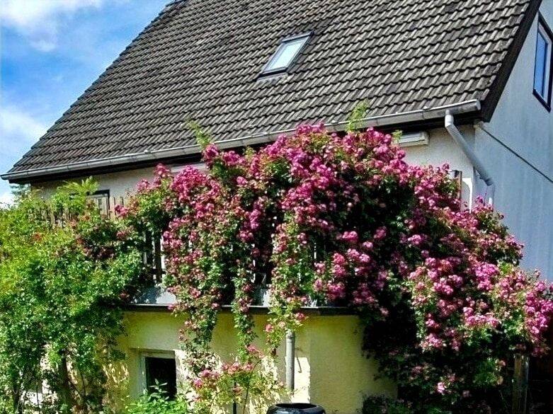 Schlafen, wie Dornröschen hinter den Rosen......... gepflegtes, bezugsfreies EFH/ZFH mit großem Raumangebot