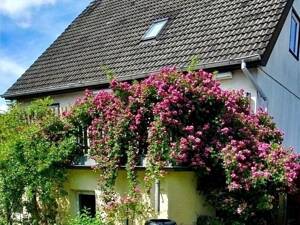 Schlafen, wie Dornröschen hinter den Rosen......... gepflegtes, bezugsfreies EFH/ZFH mit großem Raumangebot – 13503 Berlin – Vorschaubild 1