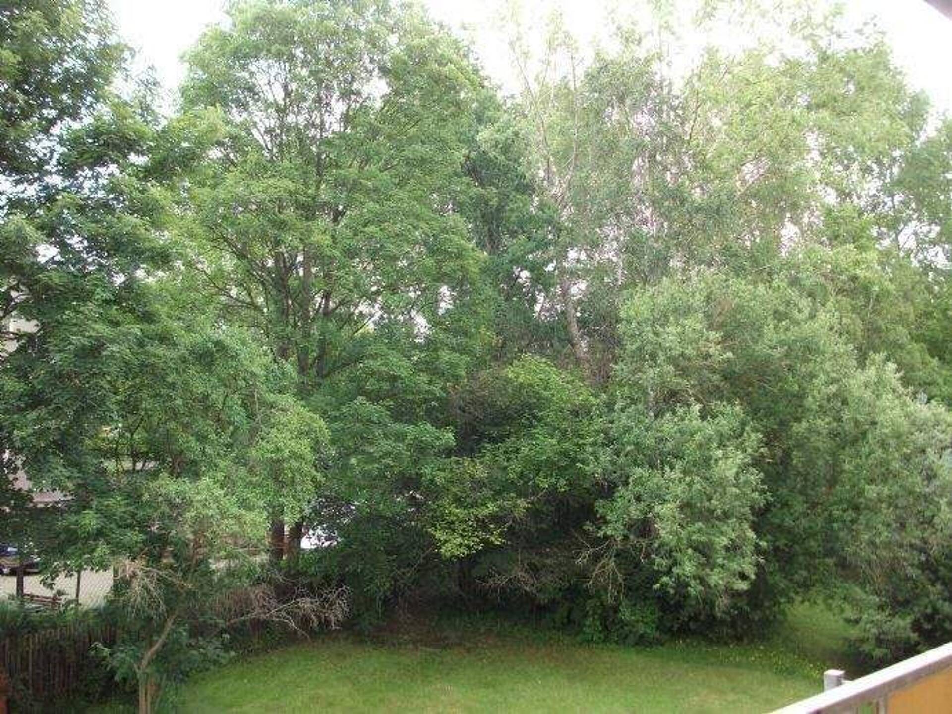 Etagenwohnung in 09126 Chemnitz mit 45 m² kaufen