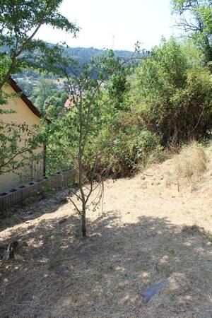 Platzwunder in Schimmeldewog – 69483 Wald-Michelbach – Vorschaubild 9