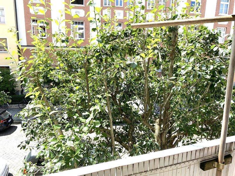 Möblierte 3-Zimmer-Wohnung mit Südwest-Loggia in top Lage Schwabing-West – München – Vorschaubild 8