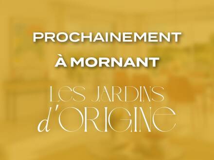 Program thumbnail