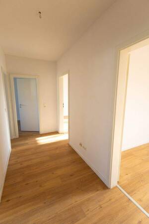 Dein Neues Zuhause? Das passt – 40589 Düsseldorf – Vorschaubild 4