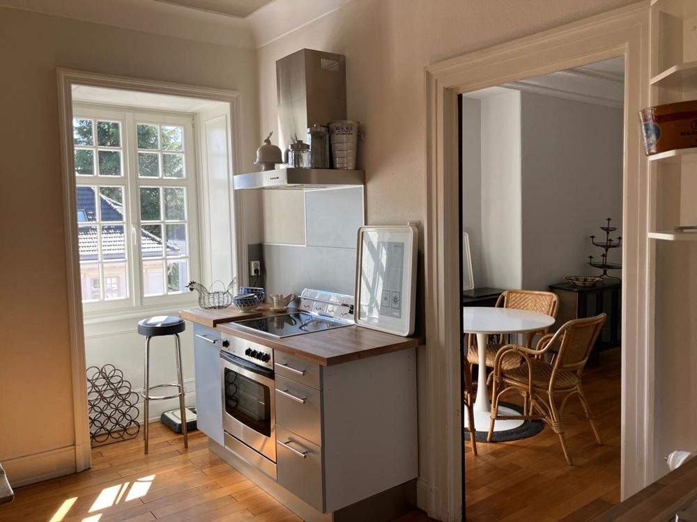Außergewöhnliche Wohnung in herrschaftlicher Villa am Staden – Saarbrücken – Vorschaubild 4