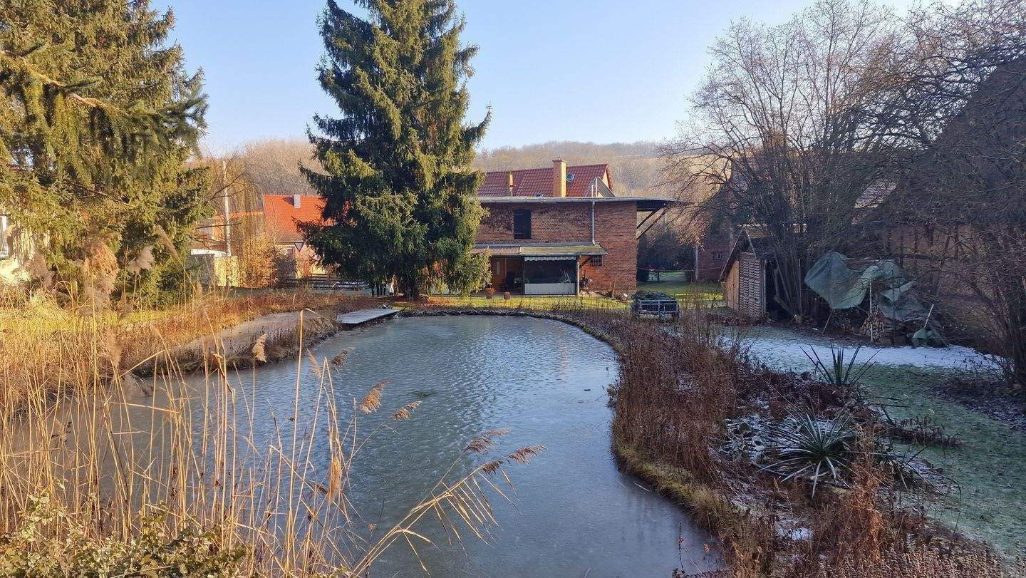 Gepflegtes Bauernhaus auf wunderschönem Grundstück mit Badeteich in Camburg – Naumburg (Saale) – Vorschaubild 7