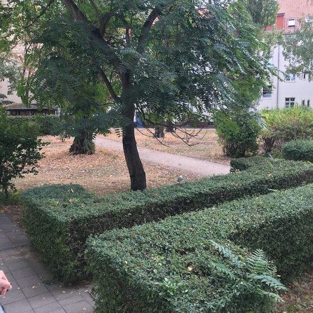 Frei zum Bezug! Sonnige, kleine 2-Zi-DG, Bj 2000, im sanierten AB-Gebäude aus 1925 mit großem Innenhofgarten – Berlin – Vorschaubild 8