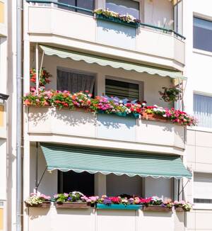 Gemütliche 3-Raum-Wohnung mitten in der Stadt ab Dezember frei! – 39104 Magdeburg – Vorschaubild 6
