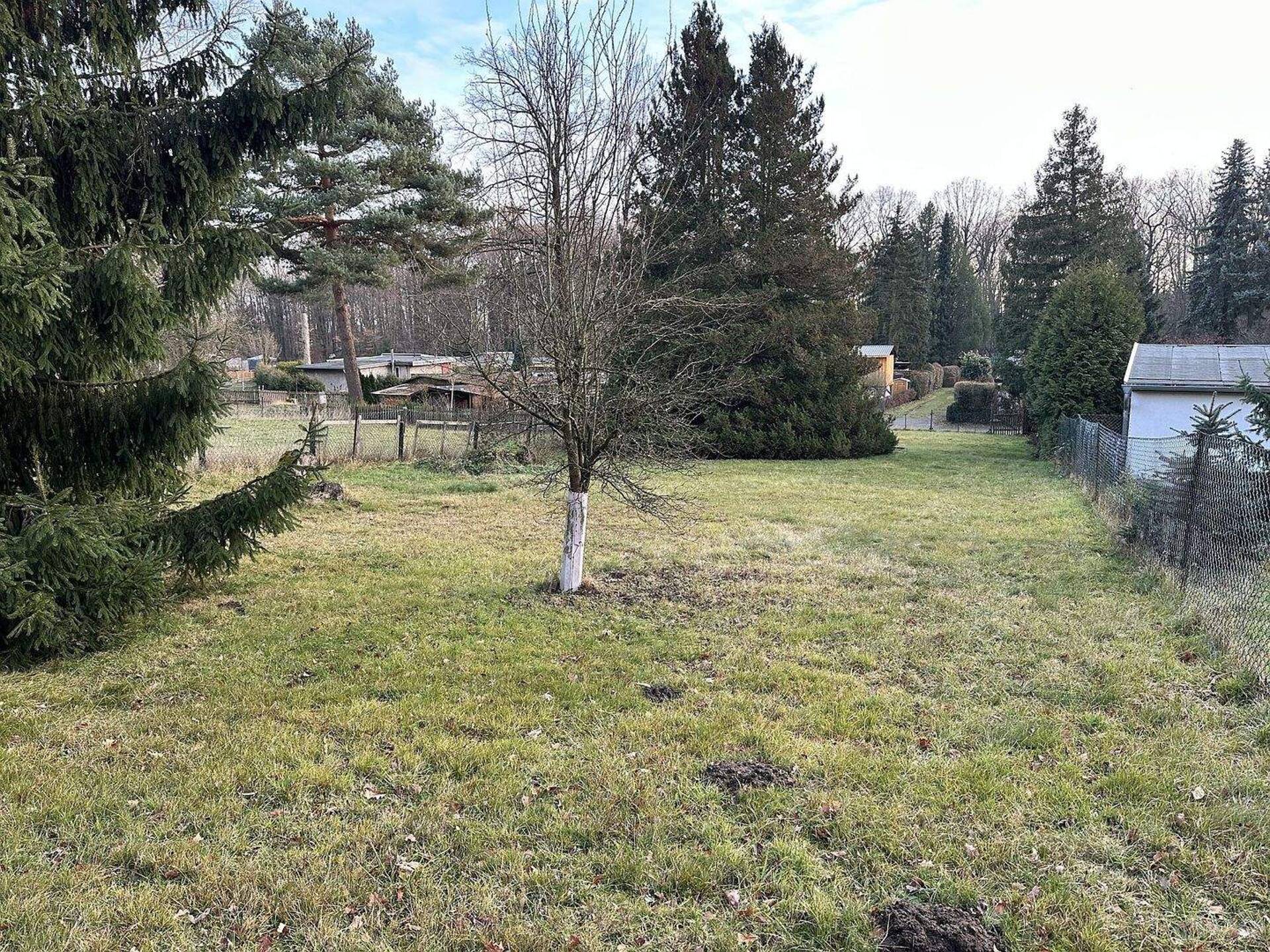 Haus in 04651 Bad Lausick mit 100 m² kaufen