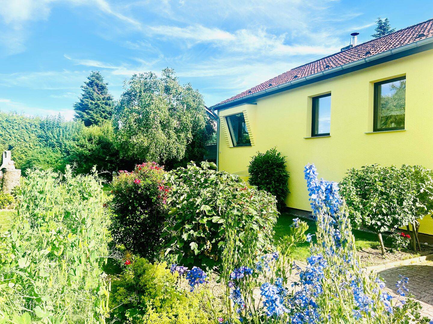 NEU KALKULIERT - Naturparadies sucht DIE Familie – Hohenfelde – Vorschaubild 6