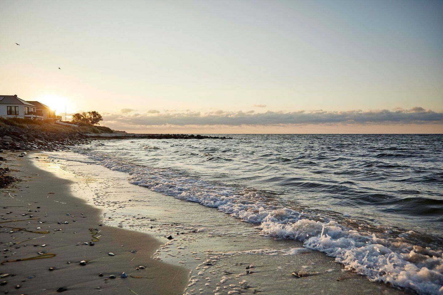 ++ EIN BESONDERES & RENDITESTARKES INVESTMENT ++ Boutique-Villen mit Meerblick, direkt am Strand. – Fehmarn – Vorschaubild 5