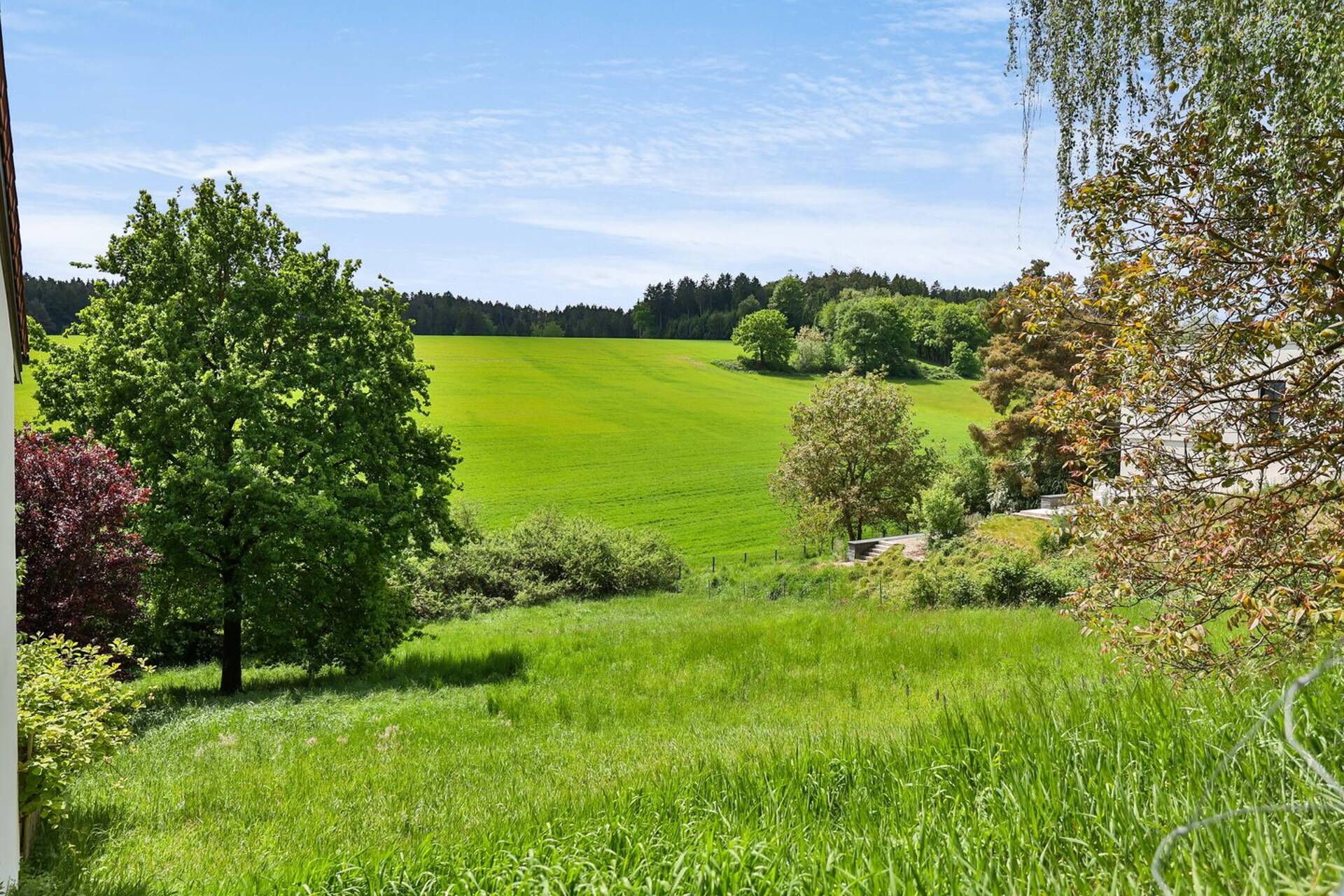 Haus in 85276 Pfaffenhofen an der Ilm mit 288,82 m² kaufen