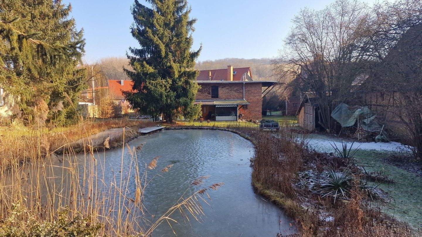 Gepflegtes Bauernhaus auf wunderschönem Grundstück mit Badeteich – Dornburg-Camburg – Vorschaubild 7